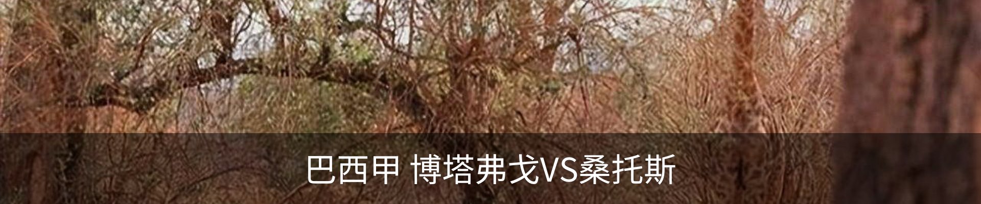内页banner