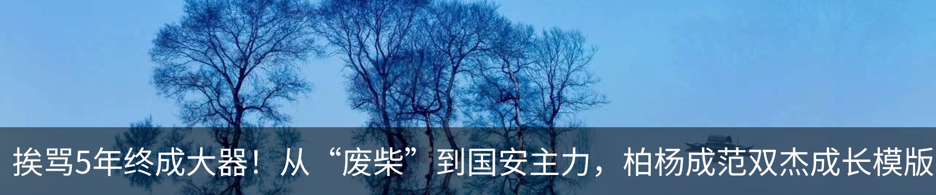 内页banner