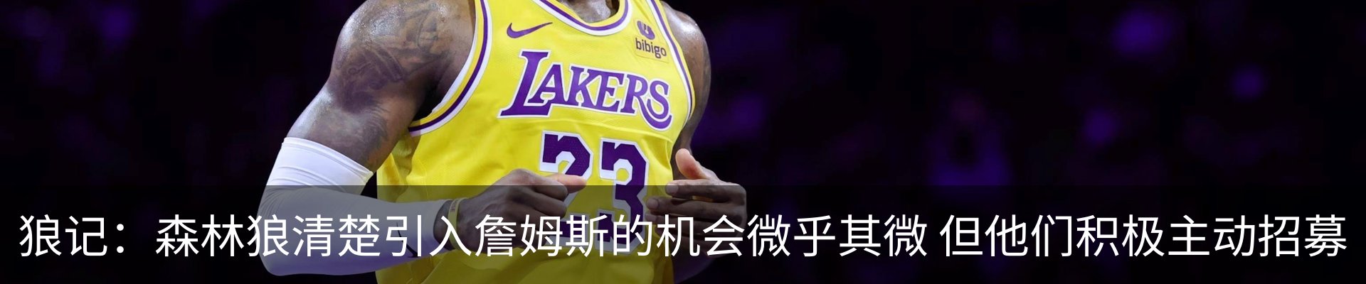 内页banner