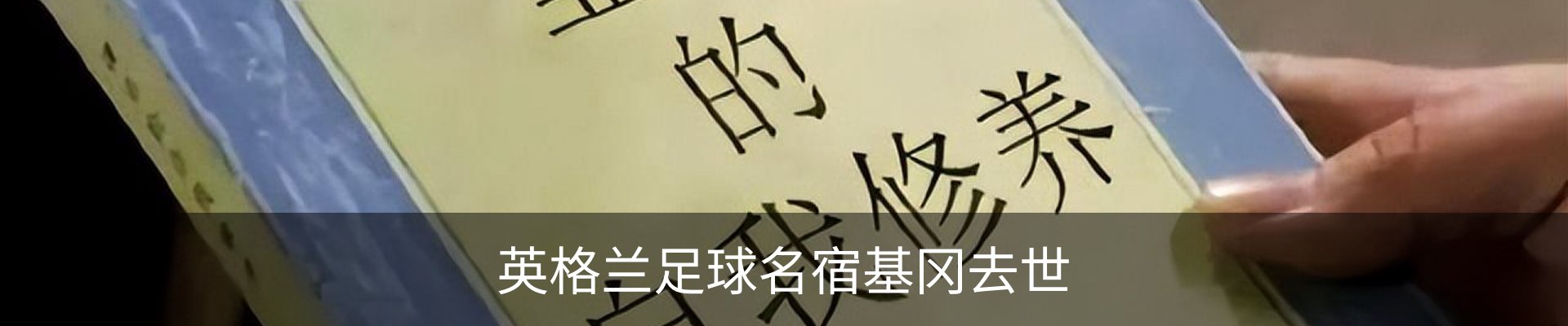 内页banner