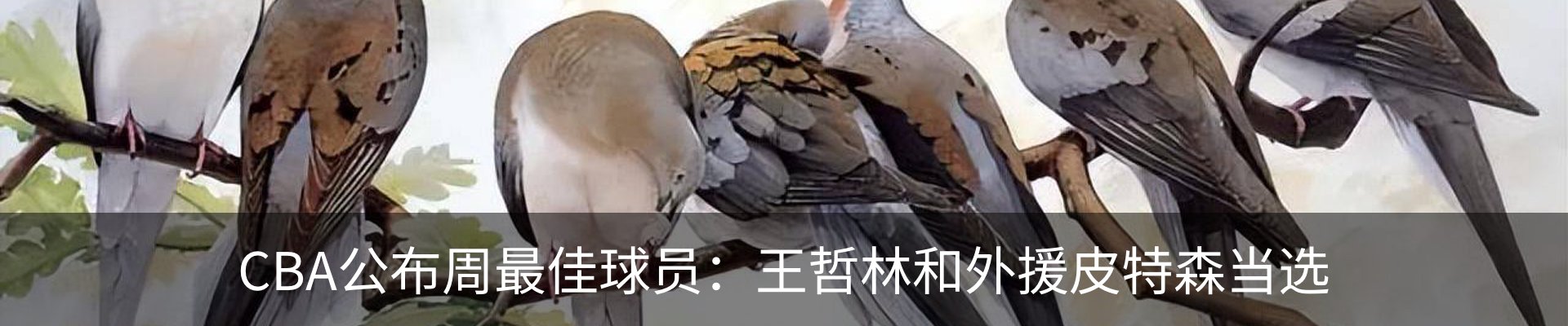 内页banner